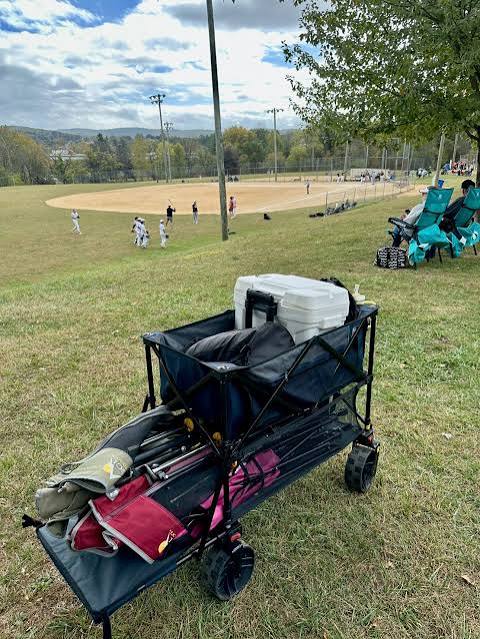 Baseball Parent Must-Haves
